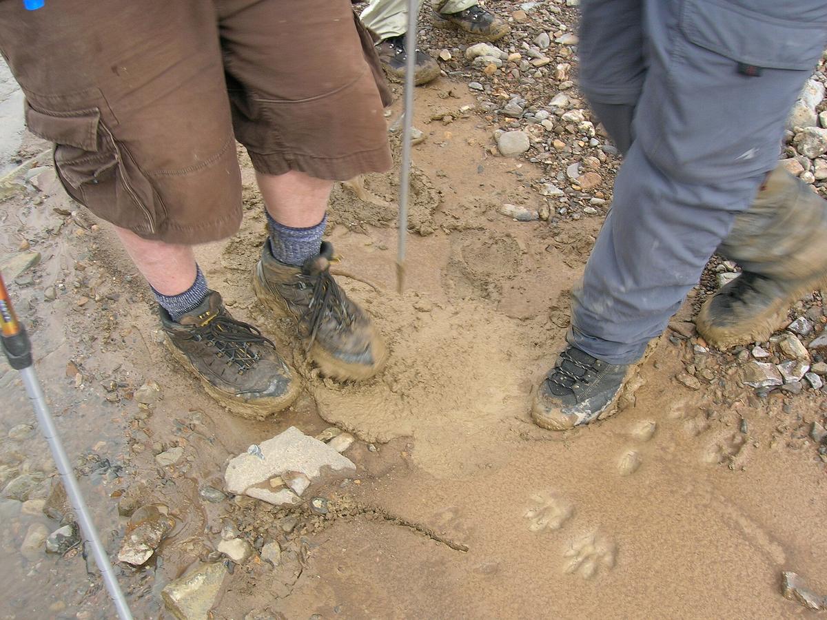 hiking boots muddy trail