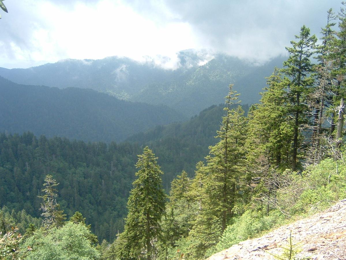 Alum Cave trail bluffs