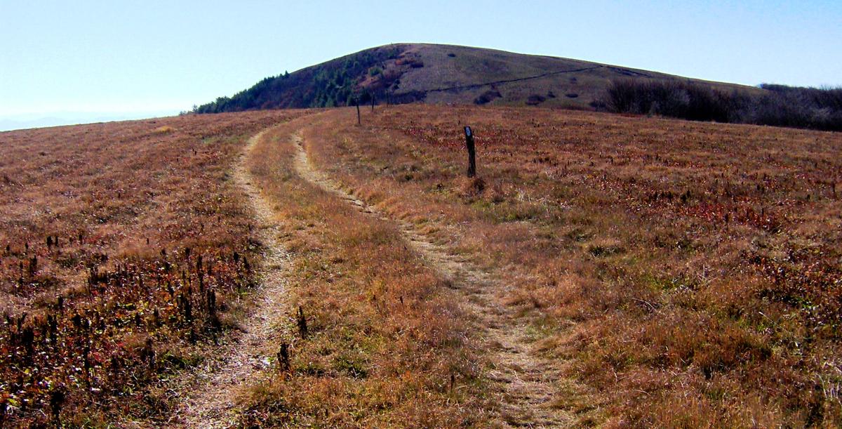 Appalachian Trail white blaze