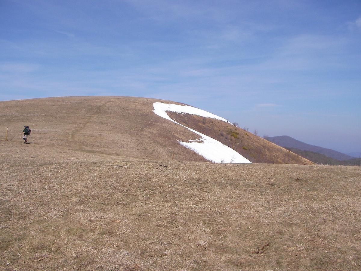 Max Patch bald North Carolina