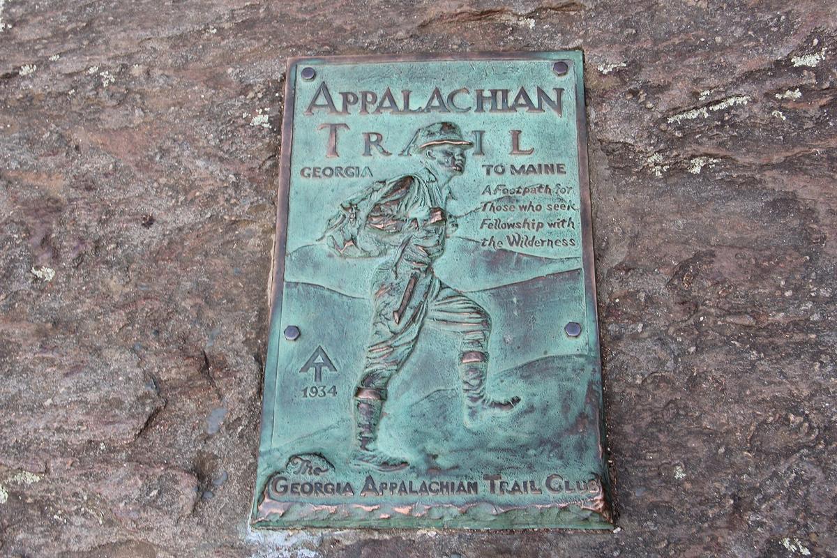 Appalachian trail spring wildflowers