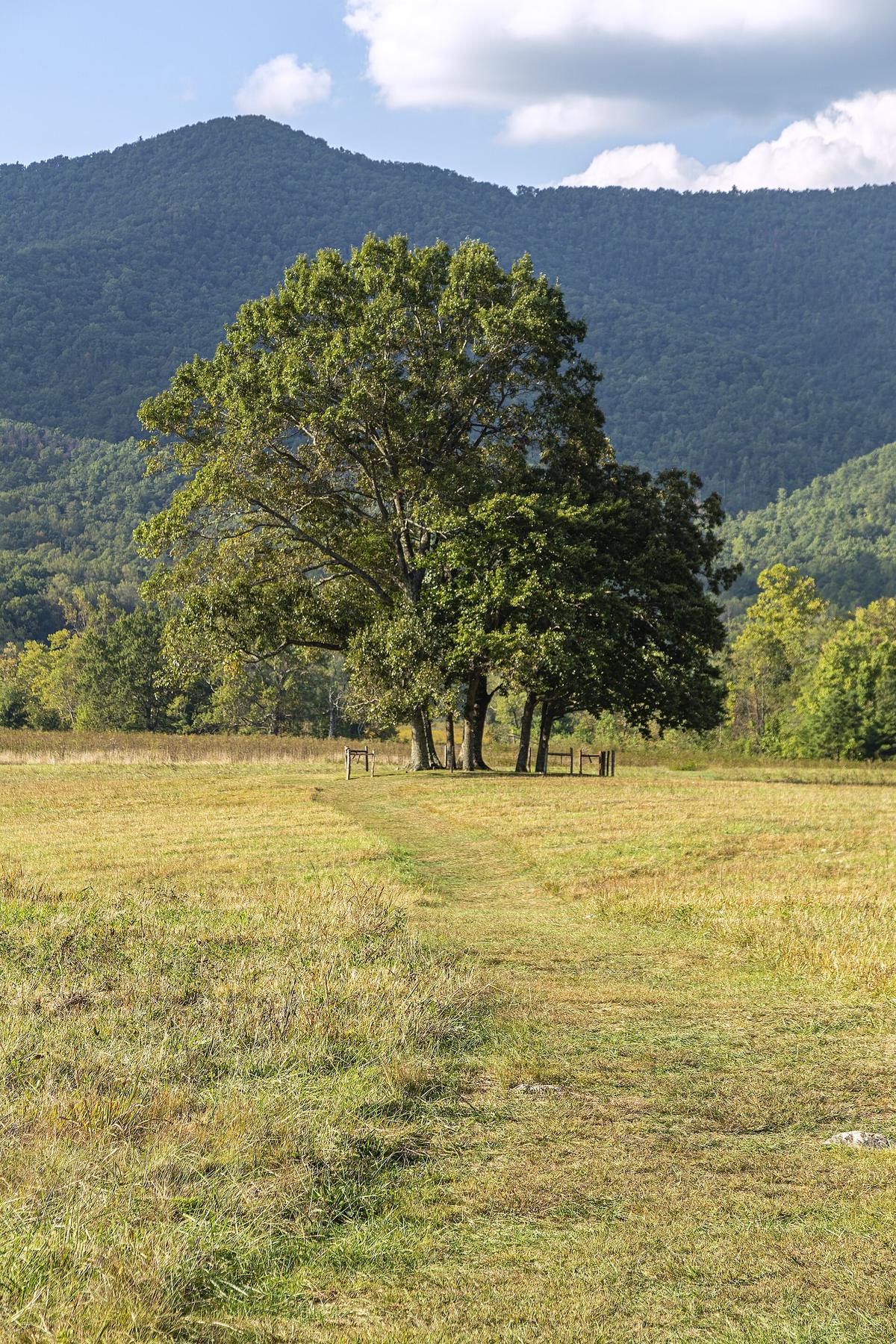 Cades Cove valley Smoky Mountains