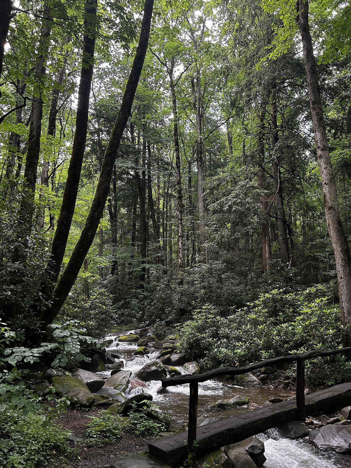 Great Smoky Mountains vs Blue Ridge