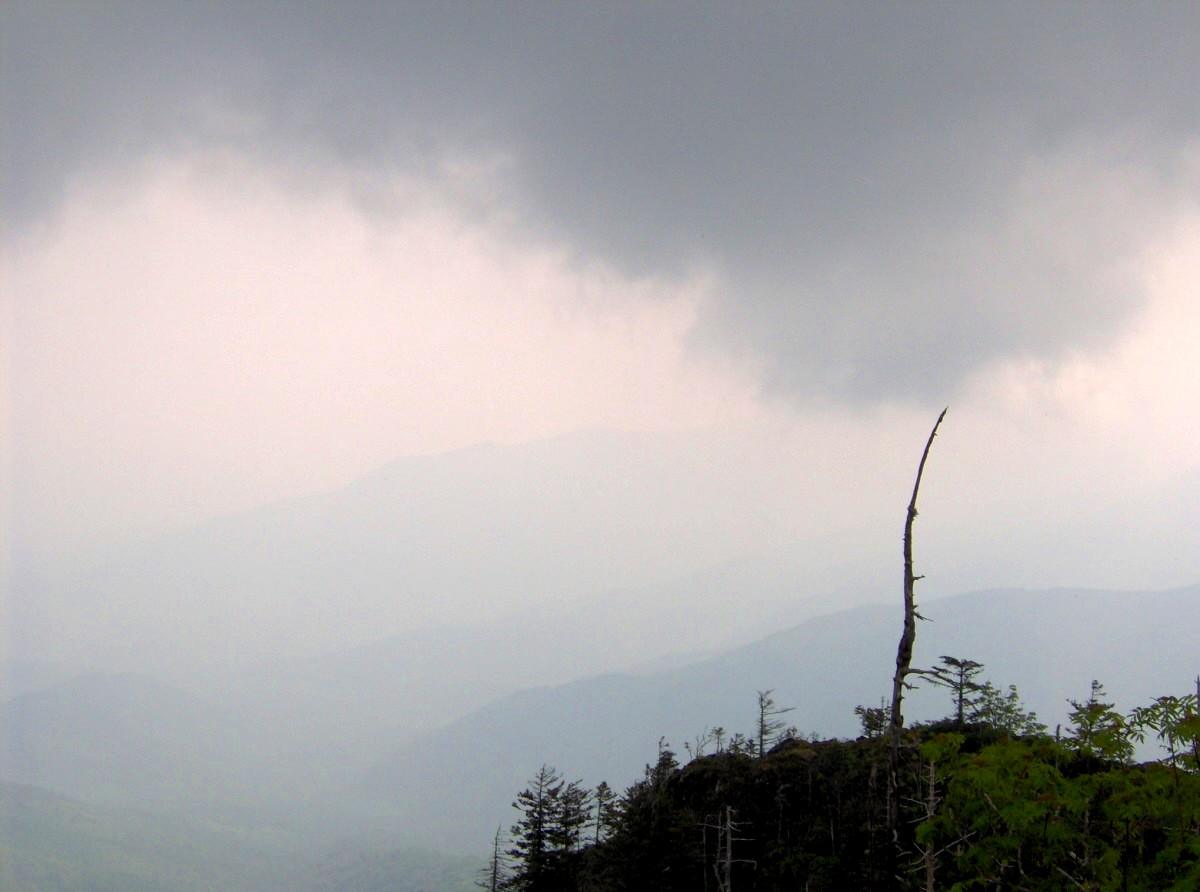 Smoky Mountains trail morning fog