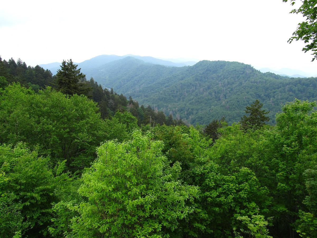 Great Smoky Mountains ridge fog